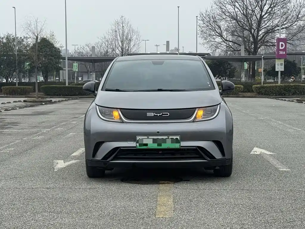 BYD DOLPHIN