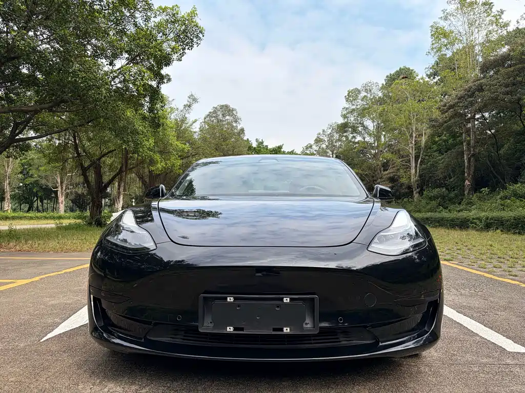 Tesla Model 3 — миниатюра 2