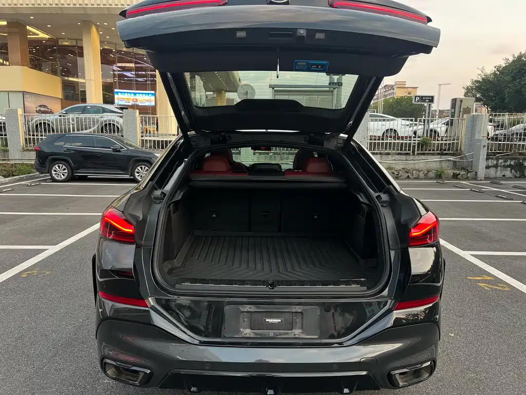 BMW X6 — миниатюра 21