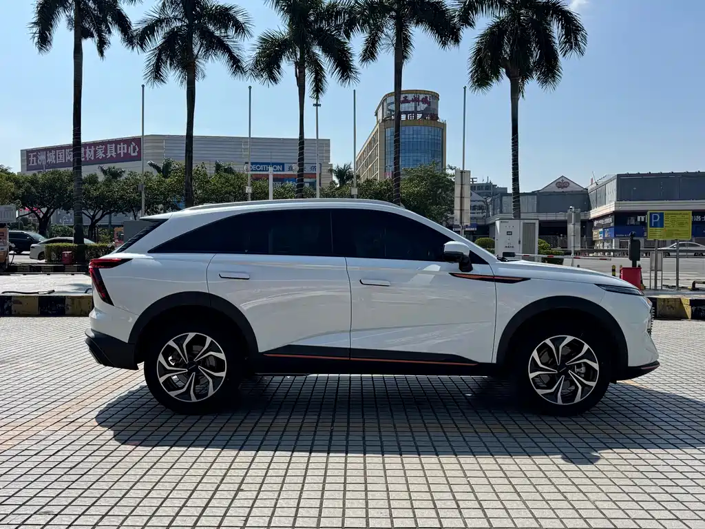Haval Shenshou — миниатюра 5
