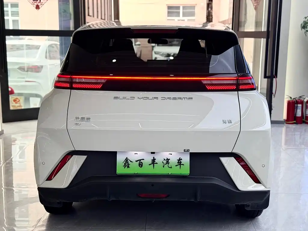 BYD Seagull