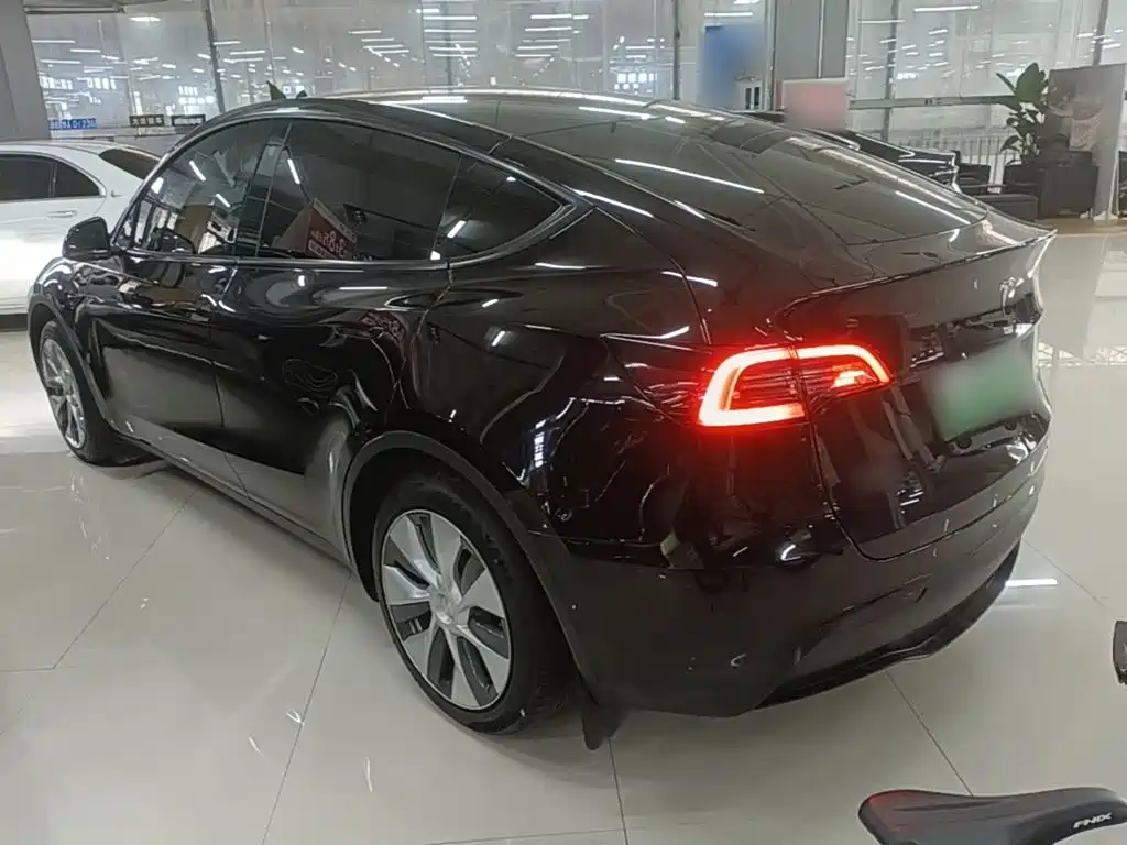 Tesla Model Y — миниатюра 5