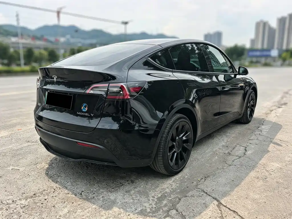 Tesla Model Y — миниатюра 4