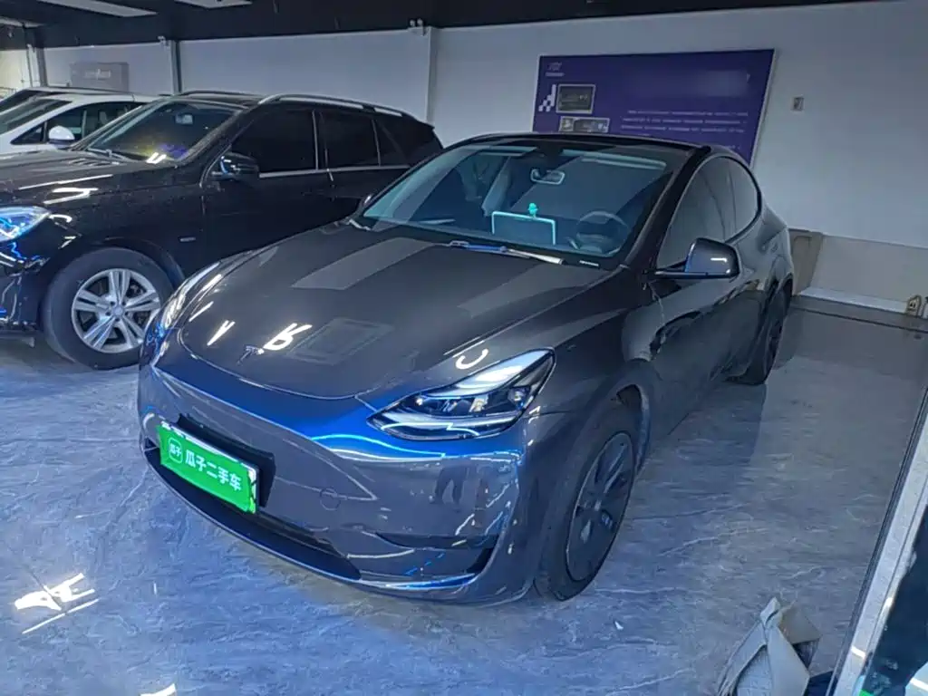 Tesla Model Y — миниатюра 2