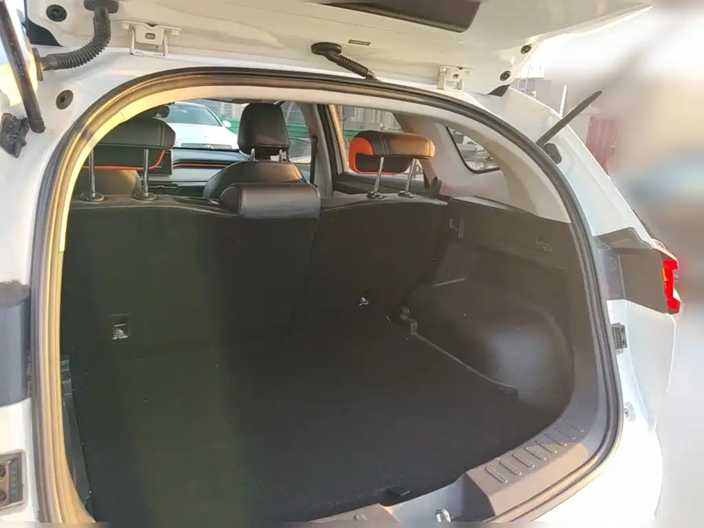 Haval Chitu — миниатюра 24