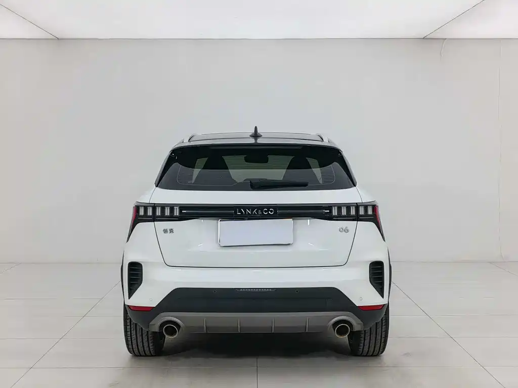 LYNK 06