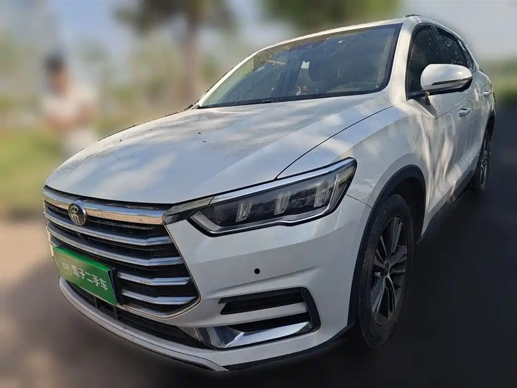 Byd Pro 2020