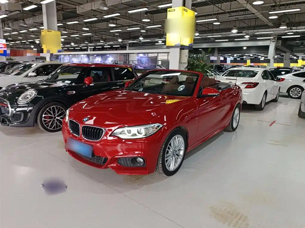 BMW 2 Series (Import) 2015