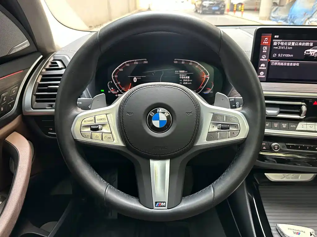 BMW X3 — миниатюра 12