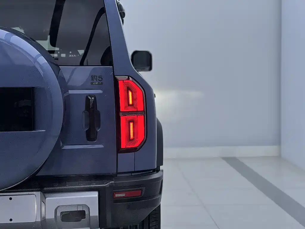 FANG CHENG BAO LEOPARD 5