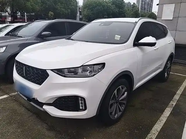 2019 Wey VV6