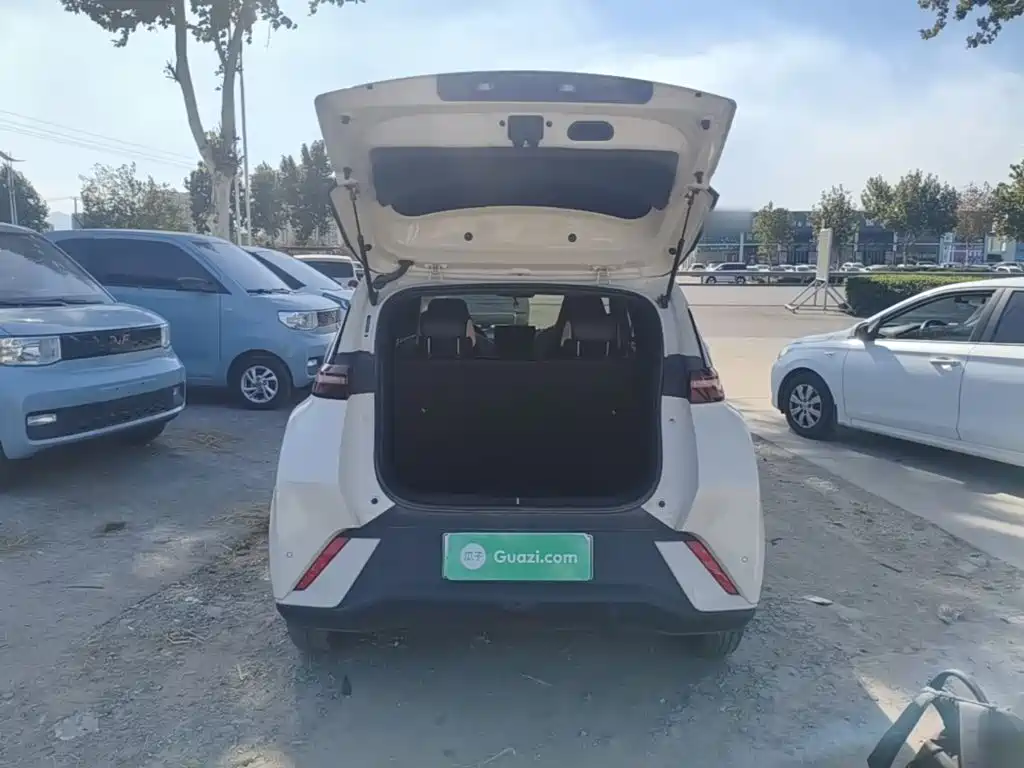 BYD Seagull — миниатюра 19