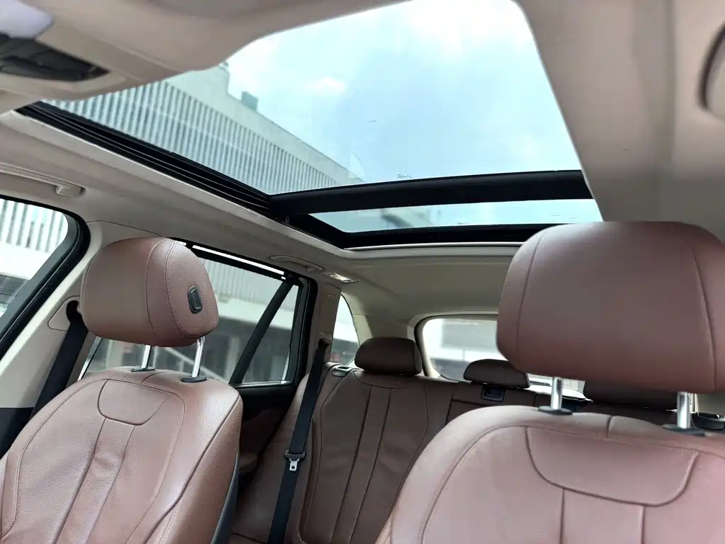 BMW X5 (Import) — миниатюра 6