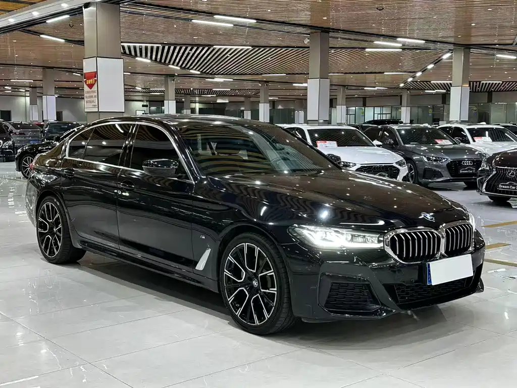 BMW 5 Series — миниатюра 3