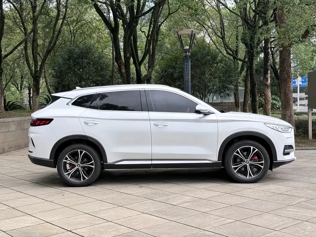 BYD PLUS — миниатюра 4