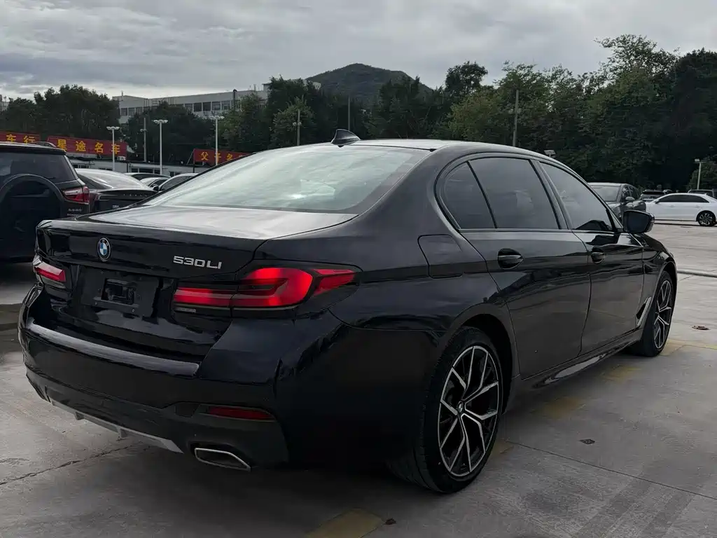 BMW 5 Series — миниатюра 7