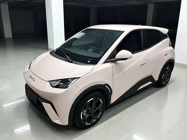 BYD Seagull