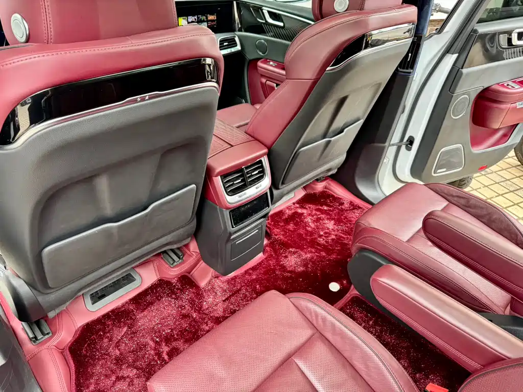 Hongqi E-HS9 2021 510km мест