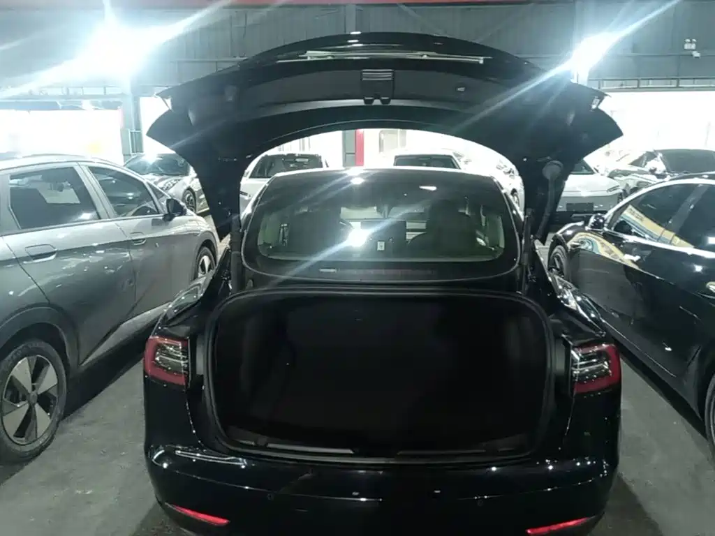 Tesla Model 3 — миниатюра 19