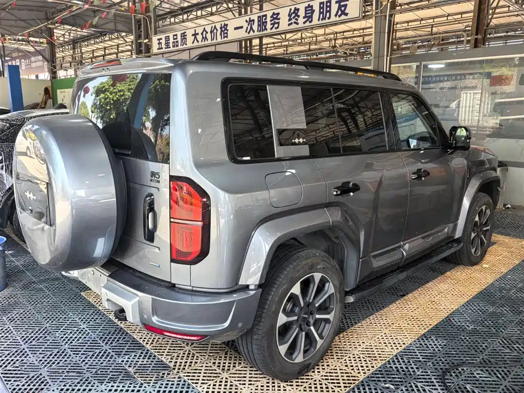 FANG CHENG BAO LEOPARD 5