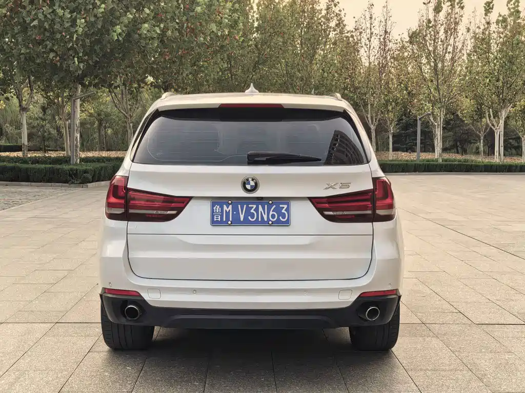 BMW X5 (Import) — миниатюра 5