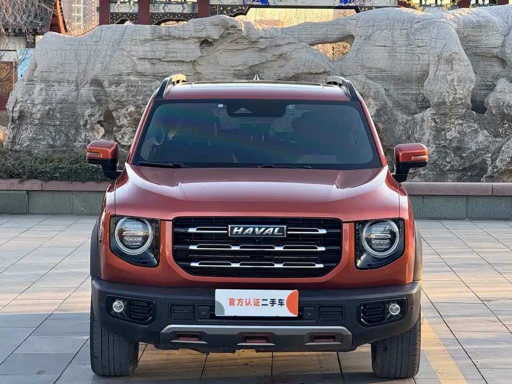 HAVAL BIG DOG