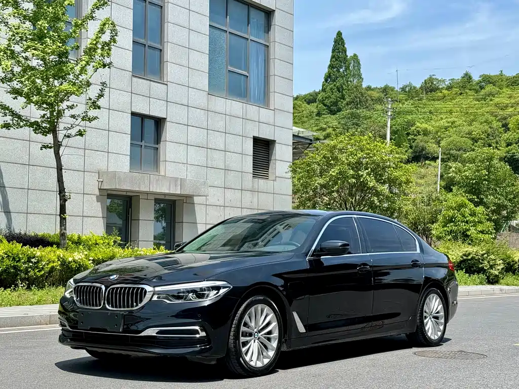 BMW 5 Series New Energy 2020