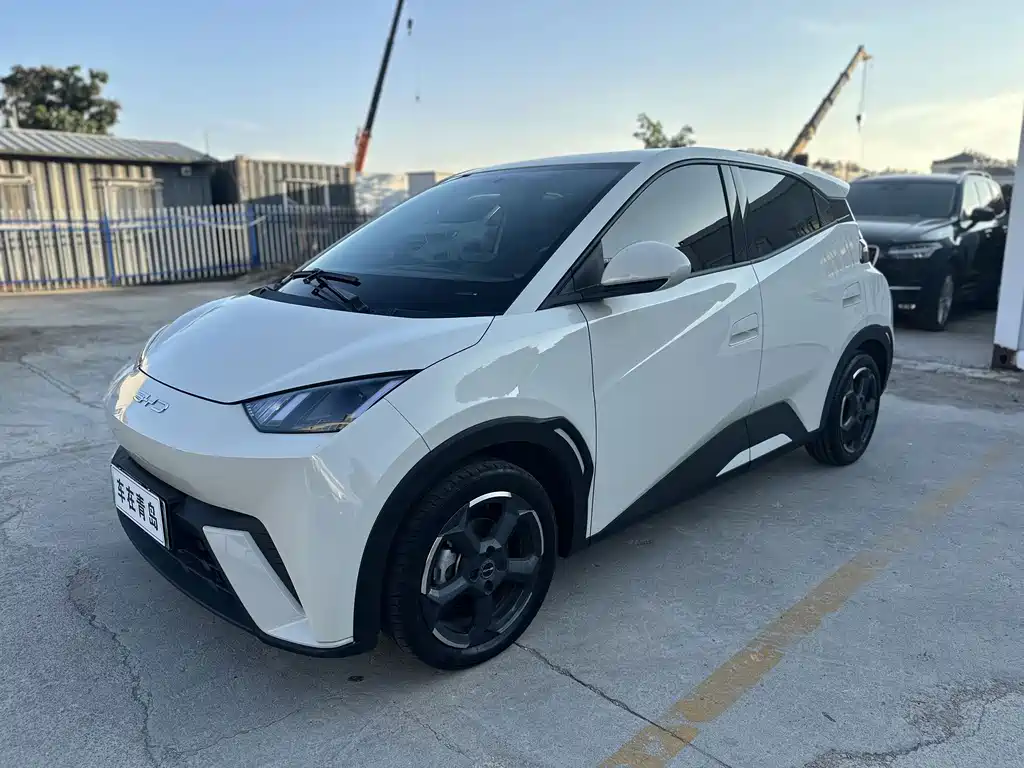 BYD Seagull