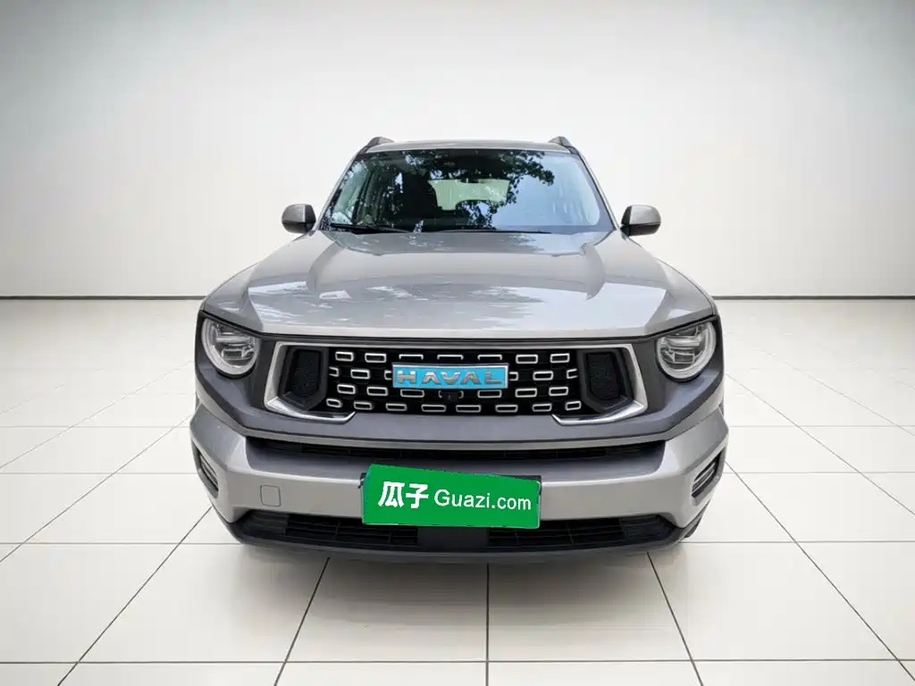 Haval Big Dog PLUS New Energy — миниатюра 2