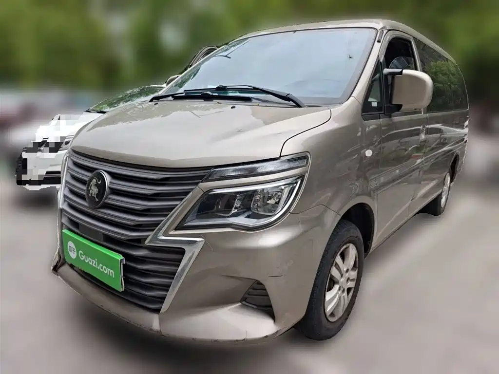 Купить Fengxing Lingzhi