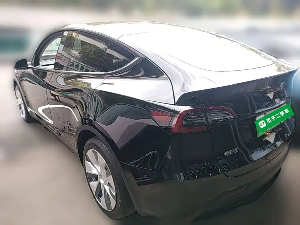 Tesla Model Y — миниатюра 7