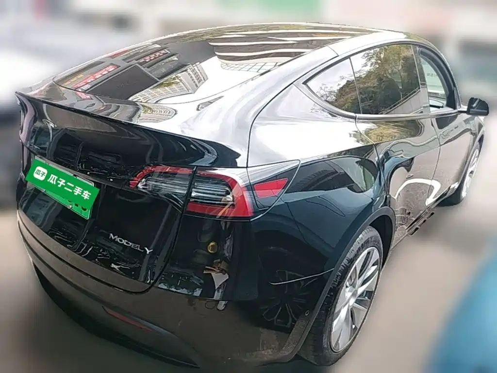 Tesla Model Y — миниатюра 10