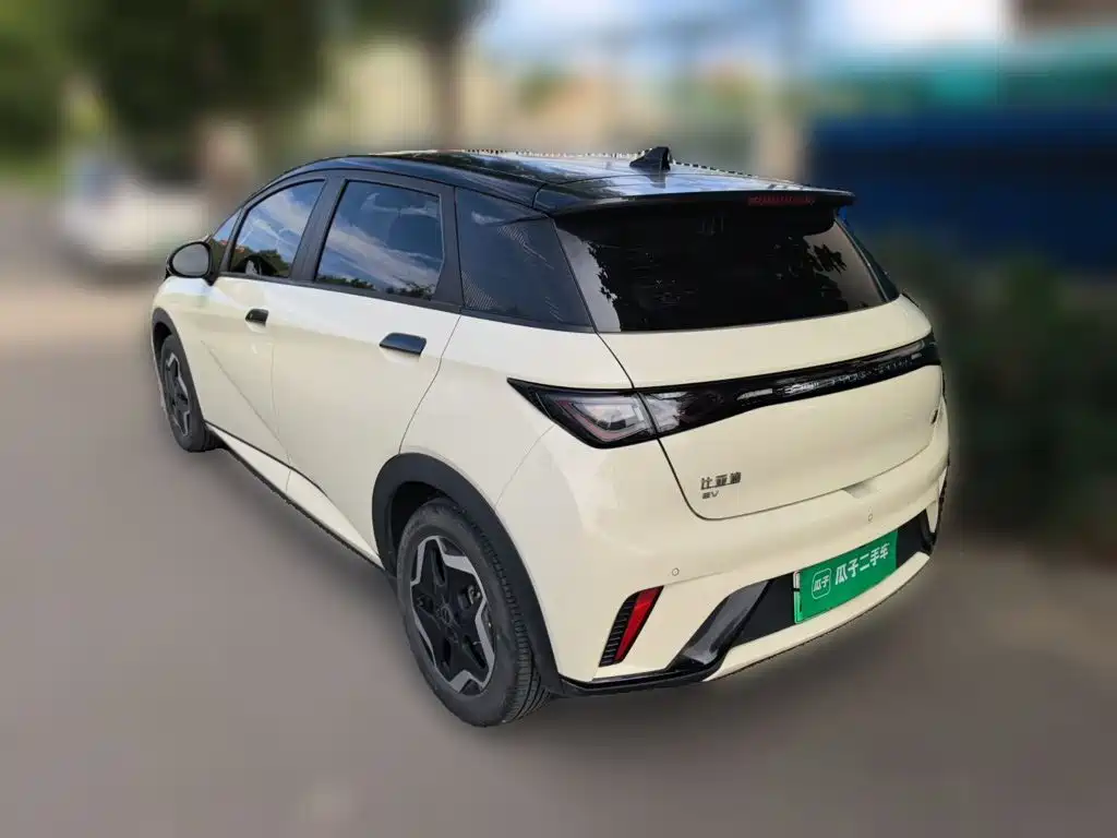 BYD Dolphin — миниатюра 24