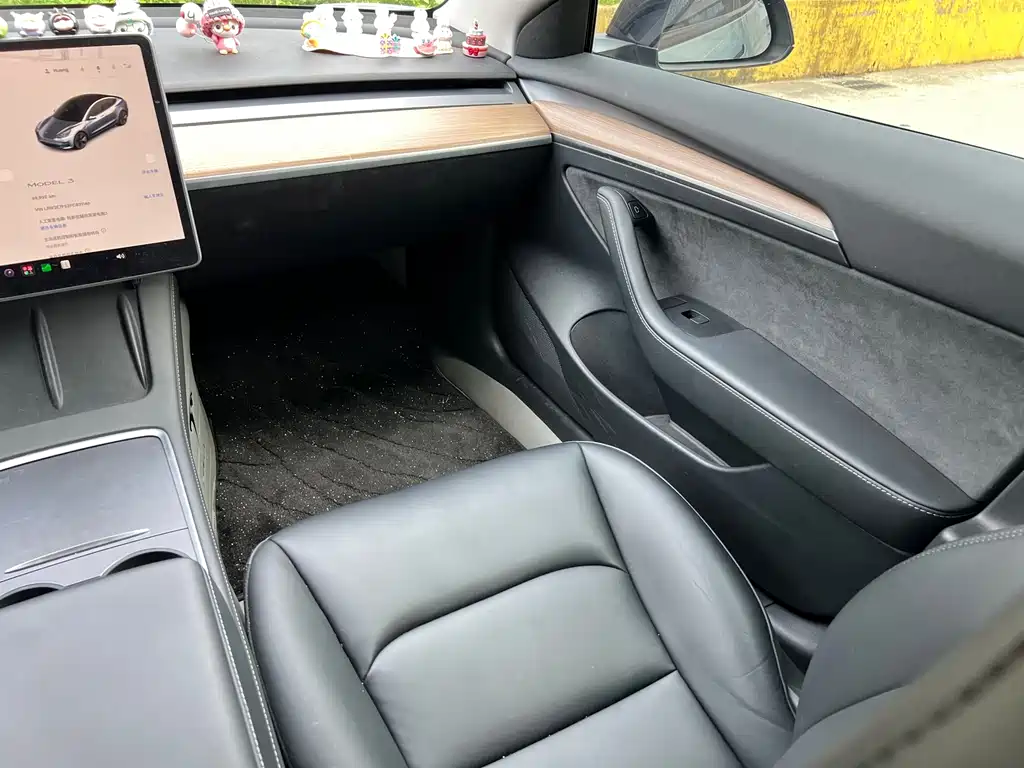 Tesla Model 3 — миниатюра 6