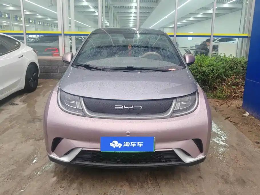 BYD Dolphin — миниатюра 2