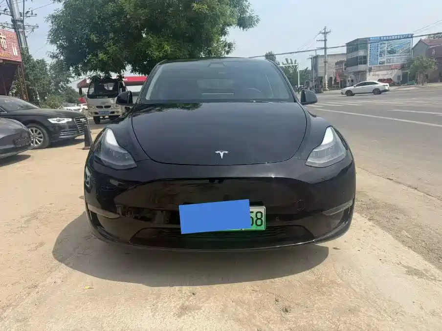 Tesla Model Y 2021 Standard Range RWD Edition