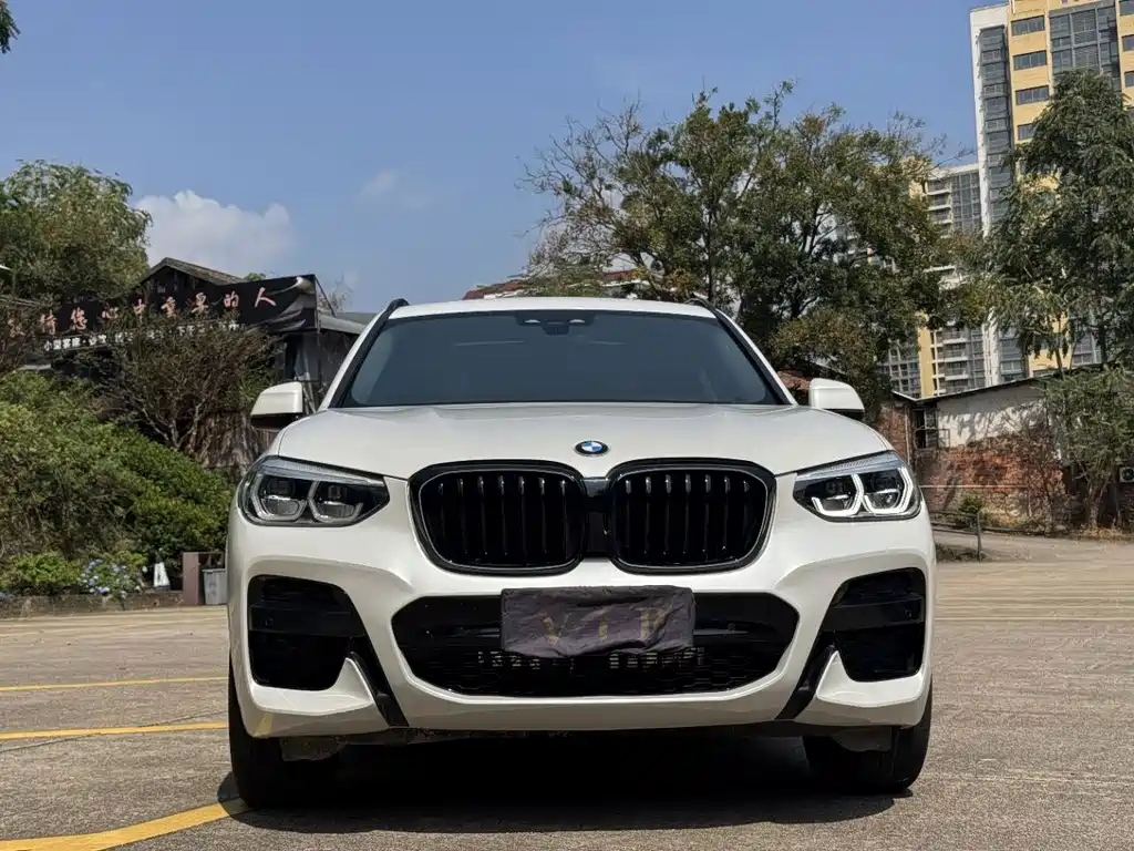 BMW X3 — миниатюра 2