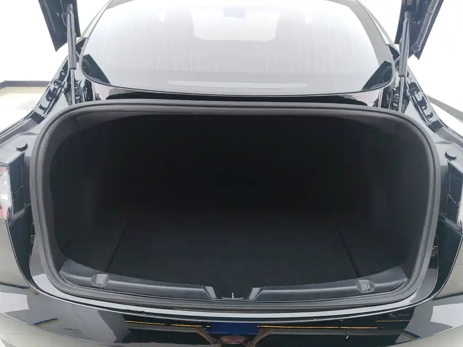 Tesla Model 3 — миниатюра 4