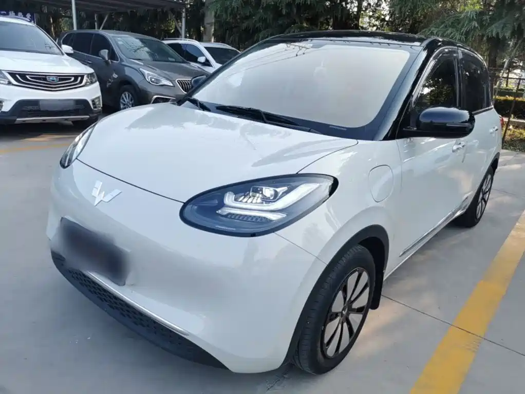 Wuling Binguo 2024 333km Enjoy