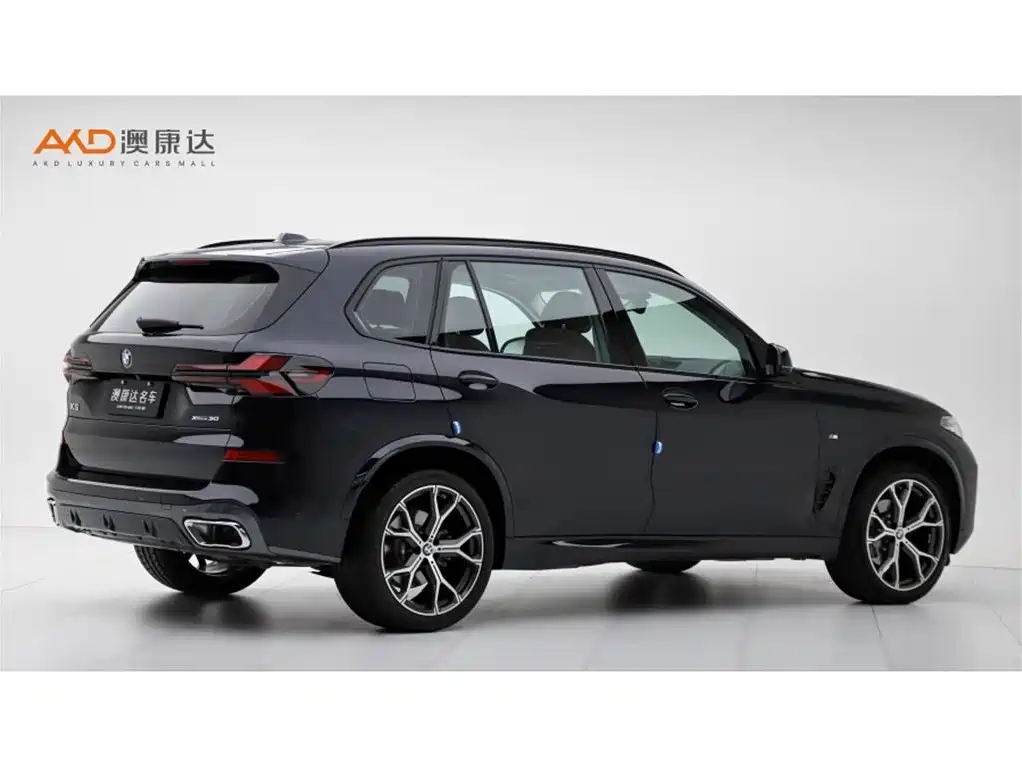 BMW X5 — миниатюра 3