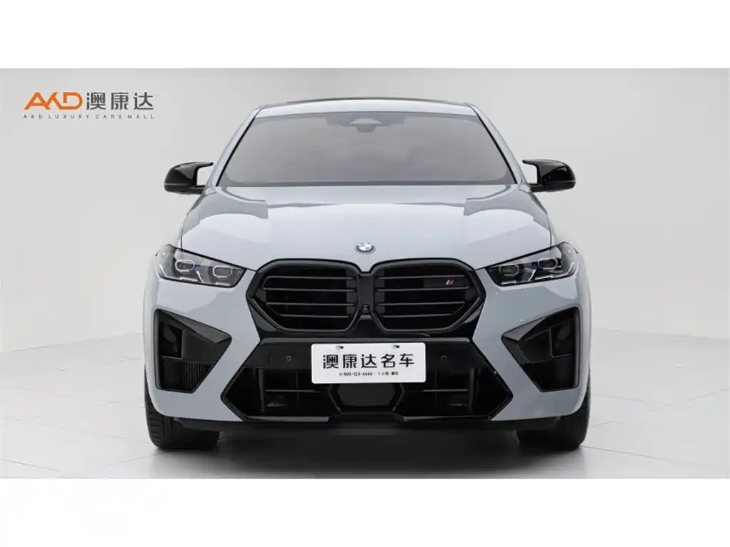 BMW X6 M — миниатюра 2