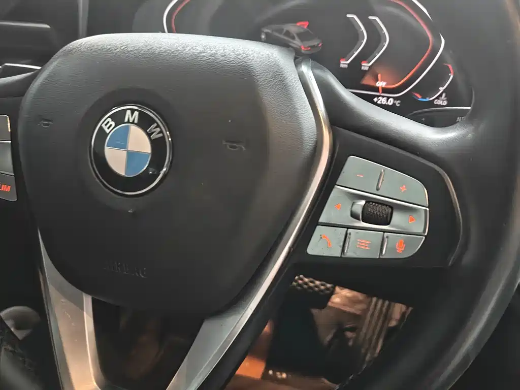 BMW 3 Series 3 2020 325Li