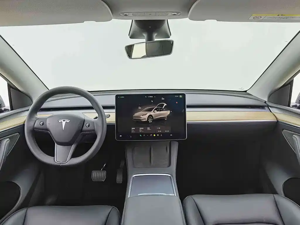 Tesla Model Y — миниатюра 5
