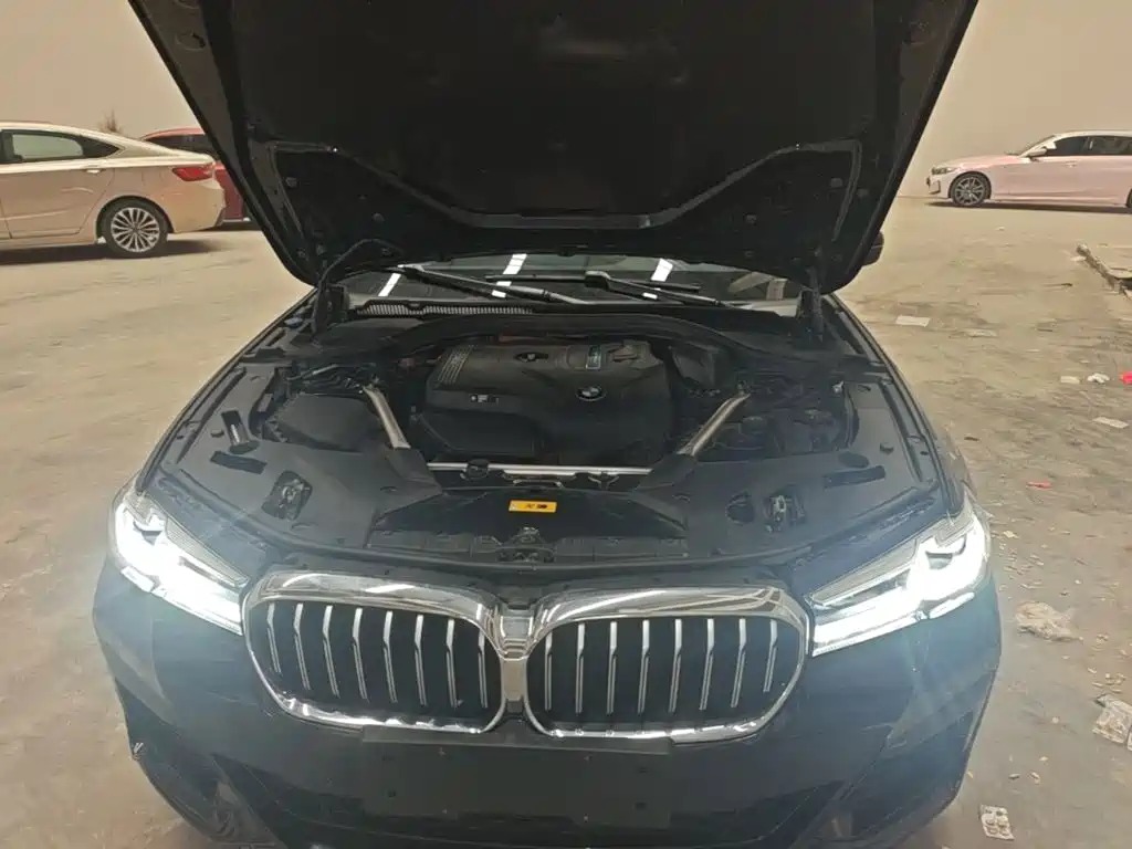 BMW 5 Series New Energy — миниатюра 20