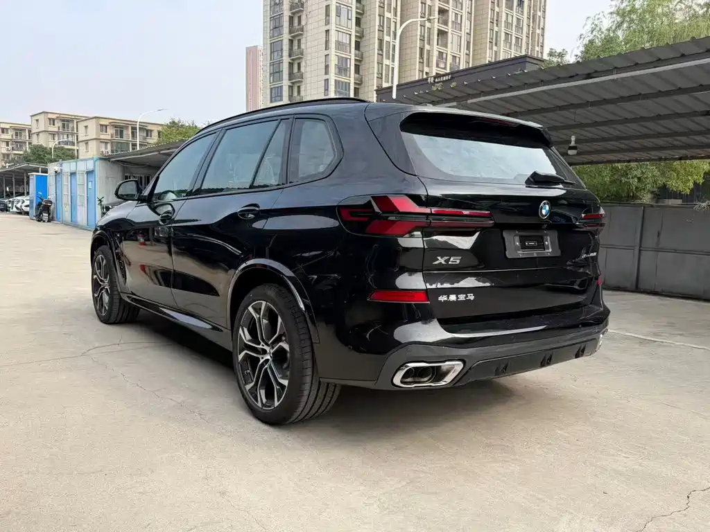 BMW X5 — миниатюра 7