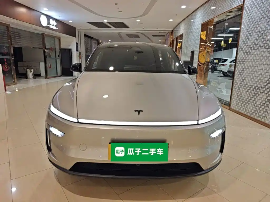 Tesla Model Y L — миниатюра 3