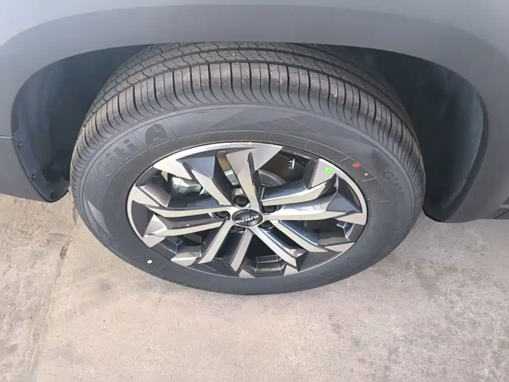 Haval Big Dog — миниатюра 23