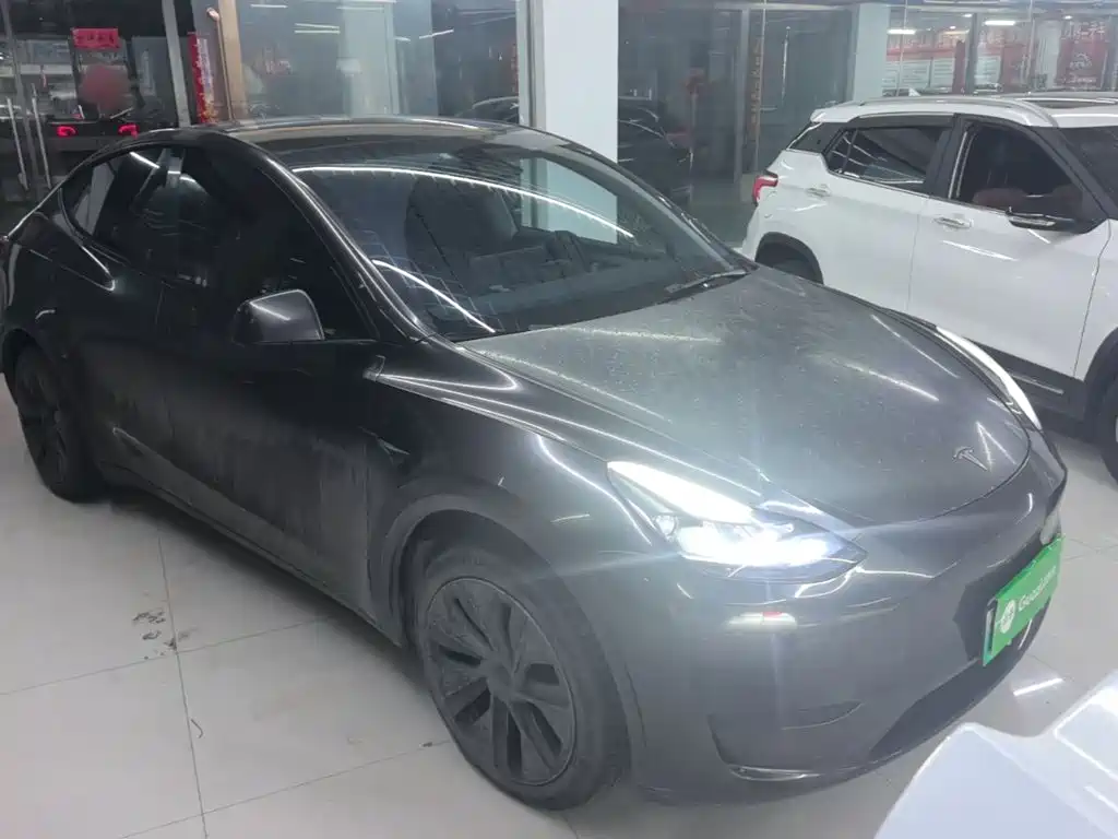 Tesla Model Y — миниатюра 4