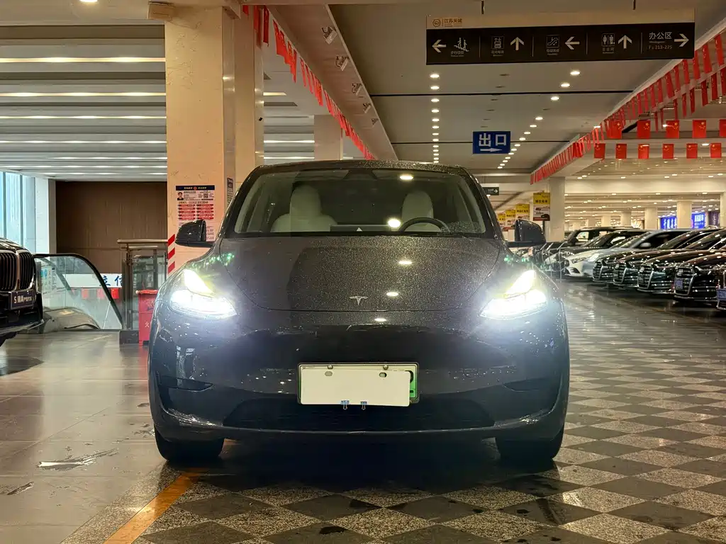Tesla Model Y — миниатюра 2