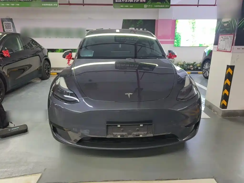 Tesla Model Y — миниатюра 3